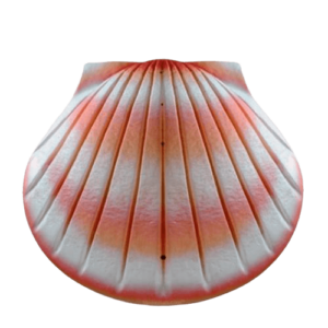 There are a great number of biodegradable cremation urns that are appropriate for sea burial